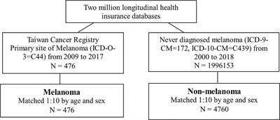 A Cohort Study: Comorbidity and Stage Affected the Prognosis of Melanoma Patients in Taiwan